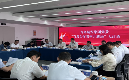 城发集团：召开“当龙头作表率开新局”大讨论专题会议